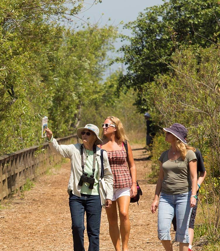 ballona wetlands walk