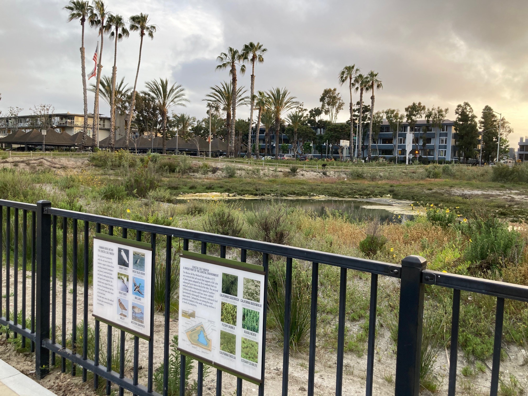 Marina del Rey Wetland Park