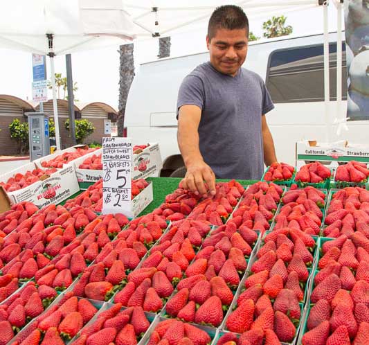 Farmers Market