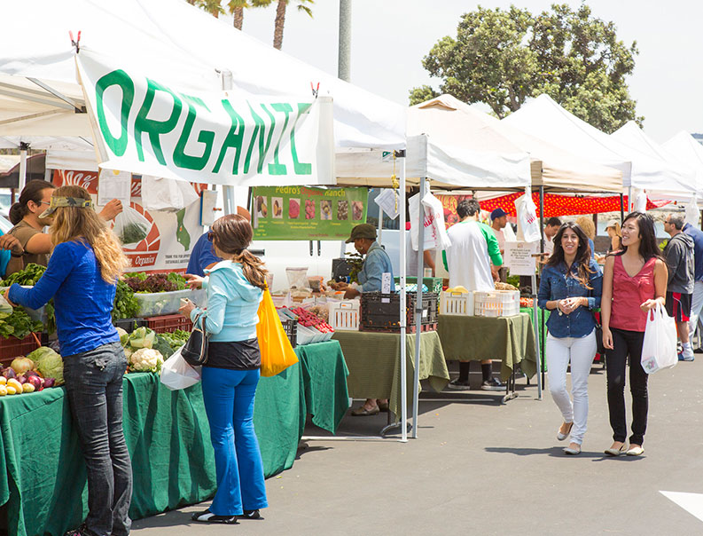 farmers market