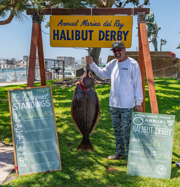 Halibut Derby