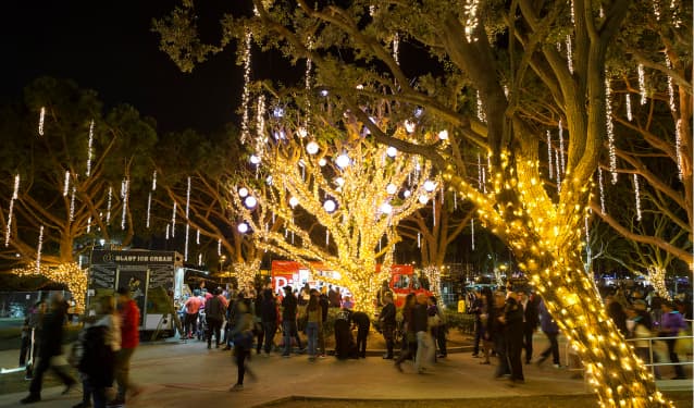 MARINA LIGHTS AT BURTON CHACE PARK